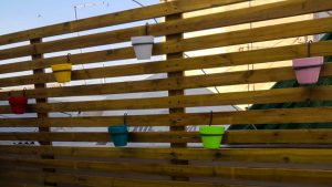 IMG-20181228-WA0097 3